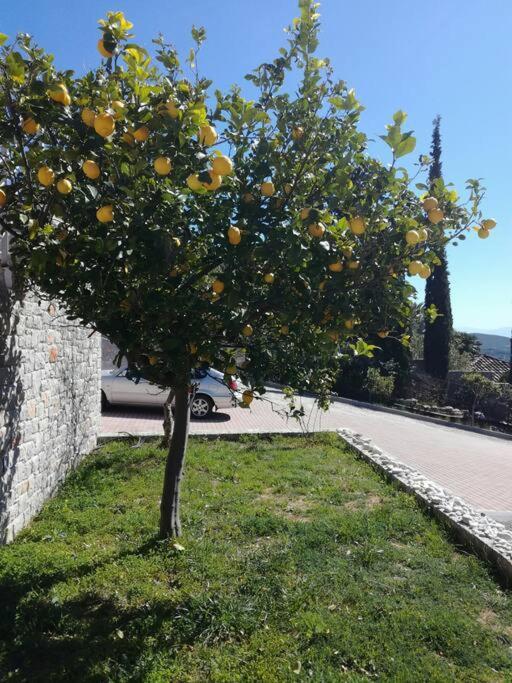 Nafplio, Hill With An Amazing Viewアパートメント エクステリア 写真